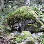 In Near Slopes