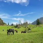 In Near Slopes 아파트