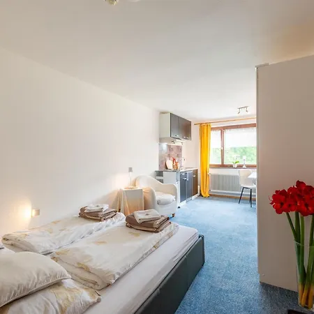 Appartement In Near Slopes Sibratsgfäll