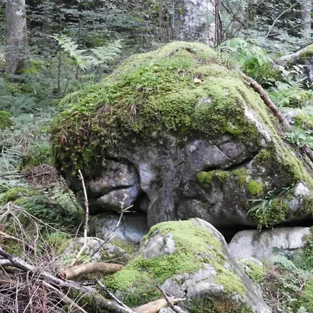 In Near Slopes