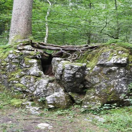 In Near Slopes