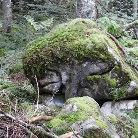 Appartement In Near Slopes *