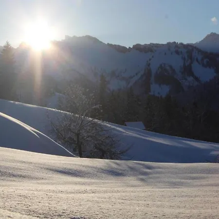 In Near Slopes Appartement *